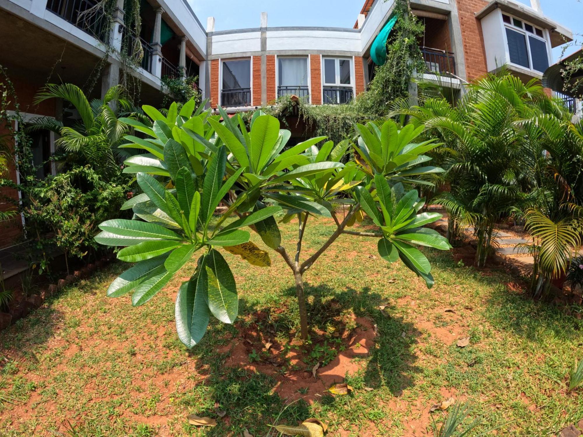 Wow Farm House Auroville Exteriér fotografie